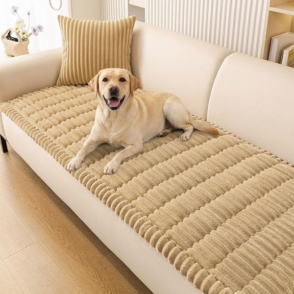 Furniture Slipcovers