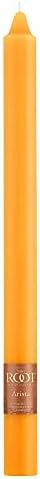 Root Candles 12-Count Unscented Smooth Candles, 12-Inch, Butterscotch - Image 3