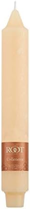 Root Candles 4-Count Unscented Timberline Collenettes, 9-Inch, Buttercream - Image 3