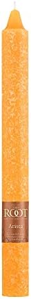 Root 12-Count Unscented Timberline Arista Candles, 9-Inch, Butterscotch - Image 3