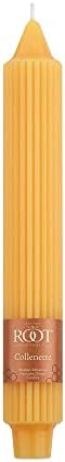 Root Candles 4-Count Unscented Grecian Collenettes, 9-Inch, Butterscotch - Image 3