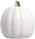 Pearhead Ceramic Pumpkin Fall Decor with Gold Stem, White by Pearhead