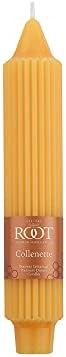 Root Candles 4-Count Unscented Grecian Collenettes, 7-Inch, Butterscotch - Image 3