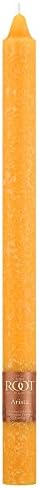 Root 12-Count Unscented Timberline Arista Candles, 12-Inch, Butterscotch - Image 3