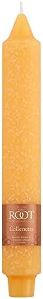 Root Candles 4-Count Unscented Timberline Collenettes, 9-Inch, Butterscotch - Image 3