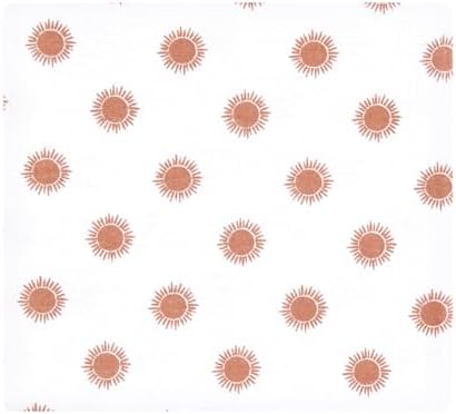 Hudson Baby Unisex Baby Cotton Flannel Receiving Blankets, Fun Desert, One Size - Image 5