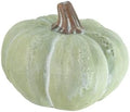 Boston International Pumpkin Thanksgiving Halloween Decorations for Home, Large, Chalky Green by BostonInternational