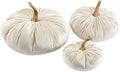 SARO LIFESTYLE Decorative Velvet Pumpkins (Set of 6) by SaroLifestyle