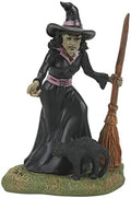 Department 56 Village Collection Accessories Halloween Double Trouble Witch and Black Cat Figurine, 3.7 Inch, Multicolor