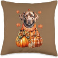 Chocolate Labrador Dog Pumpkin Autumn Fall Thanksgiving Gift Throw Pillow by Unknown