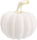 Boston International Ceramic Flocked Pumpkin Thanksgiving Halloween Decorations for Home, Large, Cream by BostonInternational