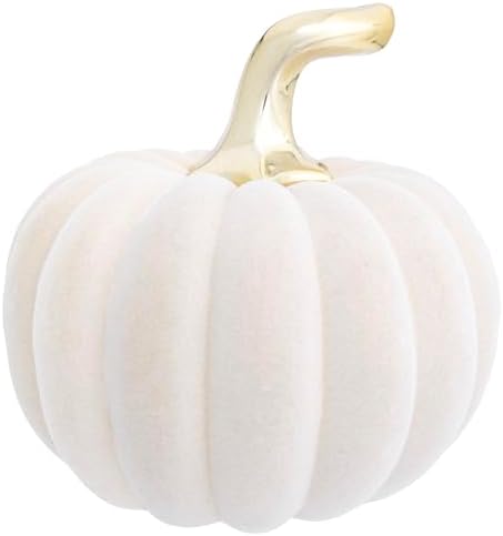 Boston International Ceramic Flocked Pumpkin Thanksgiving Halloween Decorations for Home, Large, Cream by BostonInternational