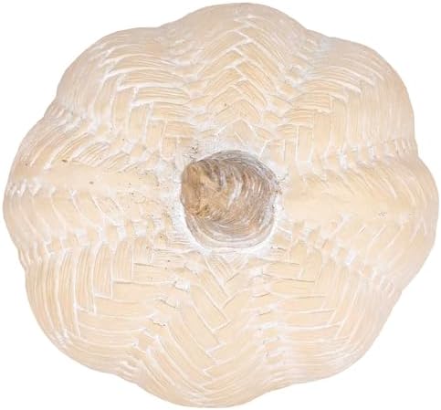 Boston International Pumpkin Thanksgiving Halloween Decorations for Home, Large, Cream Chevron - Image 2