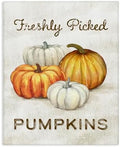 Stupell Industries Pumpkin Harvest Floral, 24 x 30 Inch Canvas Wall Art by StupellIndustries