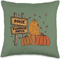 Dachshund Pumpkin Patch Dog Lovers Thanksgiving Halloween Throw Pillow by Unknown