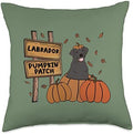 Labrador Pumpkin Patch Dog Lovers Thanksgiving Halloween Throw Pillow by Unknown