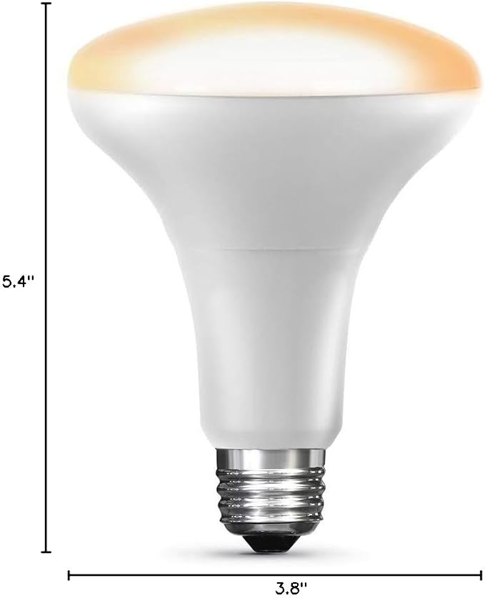 Feit Electric Smart BR30 LED Light Bulb, Works with Apple HomeKit, Bluetooth Setup, Dimmable, Voice Control, Apple Home App Compatible, Scheduling & Automation, Indoor Flood Light Bulb, BR30/SW/HK