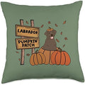 Labrador Pumpkin Patch Lab Lovers Thanksgiving Halloween Throw Pillow by Unknown