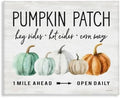 Stupell Industries 'Pumpkin Patch Farmhouse Sign Autumn Orange'| Canvas Art by StupellIndustries