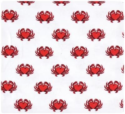 Hudson Baby Unisex Baby Cotton Flannel Receiving Blankets, Lighthouse, One Size - Image 6