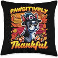 BCC Boston Terrier Shirts & Dog Lover Gifts Boston Terrier Dog Scarf Pilgrim Happy Thanksgiving Throw Pillow, 16x16, Multicolor by Unknown