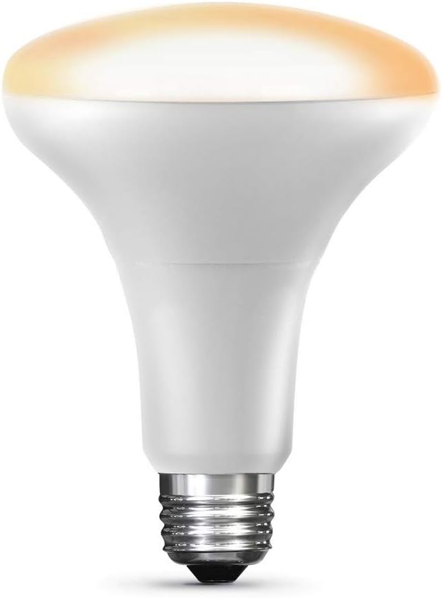 Feit Electric Smart BR30 LED Light Bulb, Works with Apple HomeKit, Bluetooth Setup, Dimmable, Voice Control, Apple Home App Compatible, Scheduling & Automation, Indoor Flood Light Bulb, BR30/SW/HK