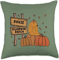 Dachshund Pumpkin Patch Dog Lovers Thanksgiving Halloween Throw Pillow by Unknown