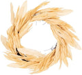 Vickerman 28" Artificial Cream Corn Husk Wreath. by Unknown