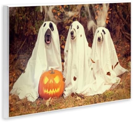 'Vintage Photography Halloween Pumpkin And'| Wall Plaque Art