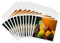 3dRose 8 x 8 x 0.25 Inches Thanksgiving Fruit and Corn Greeting Card, Set of 12 (gc_36760_2) by 3dRose