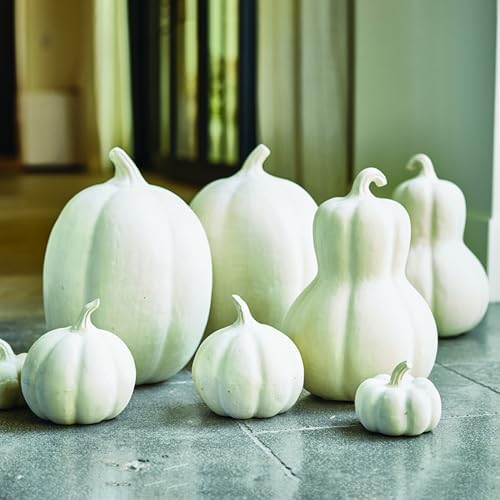 Santa Barbara Design Studio Thanksgiving Fall Décor - White Handcrafted Paper Mache Sculpture, Large, Pumpkin - Image 2