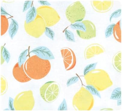 Hudson Baby Unisex Baby Cotton Flannel Receiving Blankets, Citrus Mint, One Size - Image 3