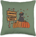 Labrador Pumpkin Patch Dog Lovers Thanksgiving Halloween Throw Pillow by Unknown