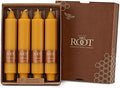 Root Candles 4-Count Unscented Smooth Collenettes, 7-Inch, Butterscotch by RootCandles