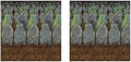 Beistle Graveyard Backdrops – 2 Printed Tombstone Cemetery Plastic Wall Coverings for Halloween Haunted House Party Décor Indoor Spooky Scene Background Display, 4 Ft x 30 Ft Each