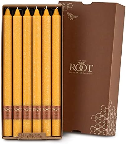 Root 12-Count Unscented Timberline Arista Candles, 12-Inch, Butterscotch by RootCandles