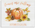 Stupell Industries Leaves Falling Autumn Calling Sentiment Pumpkin Pinecone Sunflower by StupellIndustries