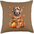 Chocolate Labrador Dog Pumpkin Autumn Fall Thanksgiving Gift Throw Pillow by Unknown