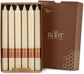 Root Candles 12-Count Unscented Smooth Candles, 9-Inch, Buttercream by RootCandles