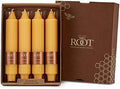 Root Candles 4-Count Unscented Grecian Collenettes, 7-Inch, Butterscotch by RootCandles
