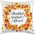 Thanksgiving Thankful Grateful Blessed Autumn Fall Leaves Throw Pillow by Unknown