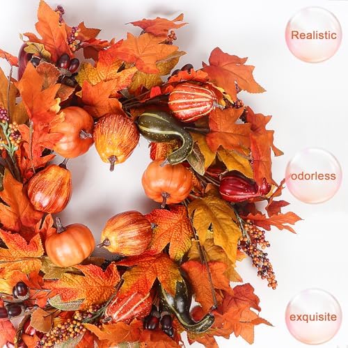 24 Inch Fall Wreath for Front Door Outside, Fall Door Wreaths for Front Door Outside with Pumpkin, Maple, Acorn and Grain, Artificial Autumn Wreaths for Harvest Halloween Thanksgiving Décor - Image 5