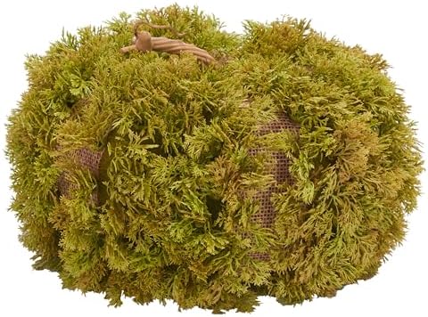 SAFAVIEH Home Collection 10-inch Decorative Artificial Moss Pumpkin (Fully Assembled) by Unknown