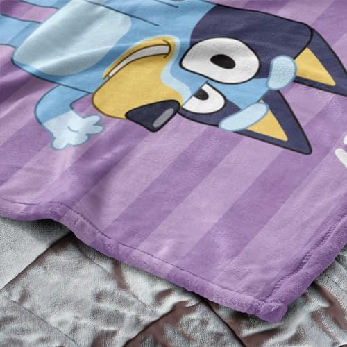 Northwest Bluey Silk Touch Throw Blanket, 50" x 60", Roll Call Bluey