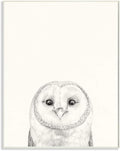 Owl Portrait Grey Woodland Bird, 10 x 15 Inch Mounted Print on Wall Plaque | Stupell Industries · By Victoria Borges · Ready to hang · Minimal nature style for any room · Made in USA