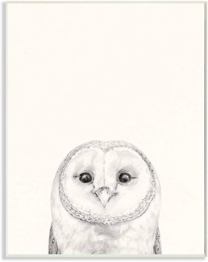 Owl Portrait Grey Woodland Bird, 13 x 19 Inch Mounted Print on Wall Plaque | Stupell Industries · By Victoria Borges · Ready to hang · Minimal nature style for any room · Made in USA