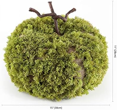 SAFAVIEH Home Collection 15-inch Decorative Artificial Moss Pumpkin (Fully Assembled) - Image 6