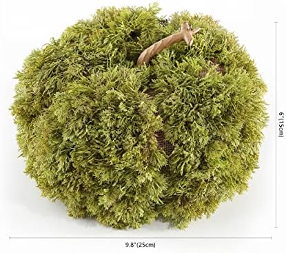 SAFAVIEH Home Collection 10-inch Decorative Artificial Moss Pumpkin (Fully Assembled) - Image 6