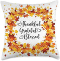 Thanksgiving Thankful Grateful Blessed Autumn Fall Leaves Throw Pillow by Unknown