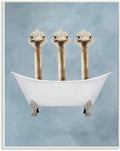 The Stupell Home Decor Three Ostriches in A Bathtub Wall Plaque Art, 10 x 15, Proudly Made in USA | Stupell Industries | 10 x 15 Inches, Easy to Hang and Sturdy, Made in USA, by Coco de Paris